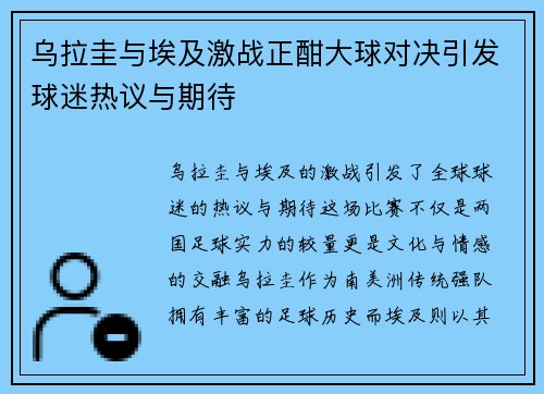 乌拉圭与埃及激战正酣大球对决引发球迷热议与期待